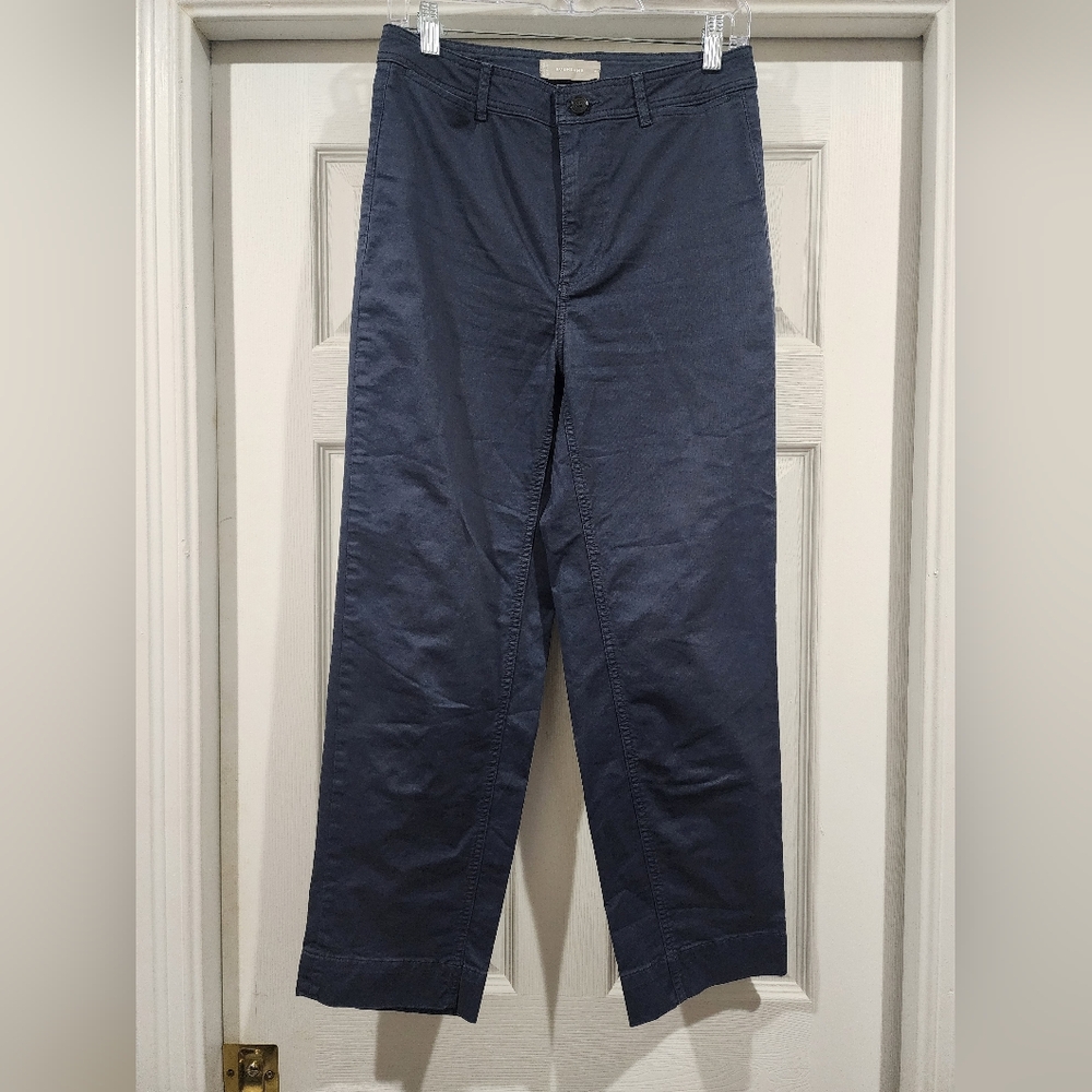 Everlane Women's Deep Blue Chinos
